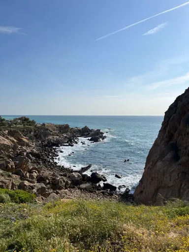 A rocky cove, blue sea, and wildflowers in the foreground